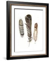 Earthtone Feathers I-Alicia Ludwig-Framed Art Print