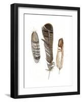 Earthtone Feathers I-Alicia Ludwig-Framed Art Print
