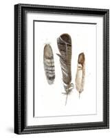 Earthtone Feathers I-Alicia Ludwig-Framed Art Print