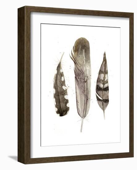 Earthtone Feathers II-Alicia Ludwig-Framed Art Print