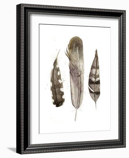 Earthtone Feathers II-Alicia Ludwig-Framed Art Print