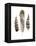 Earthtone Feathers II-Alicia Ludwig-Framed Stretched Canvas