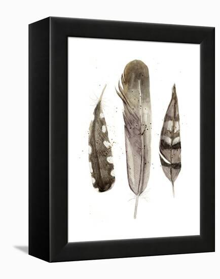 Earthtone Feathers II-Alicia Ludwig-Framed Stretched Canvas