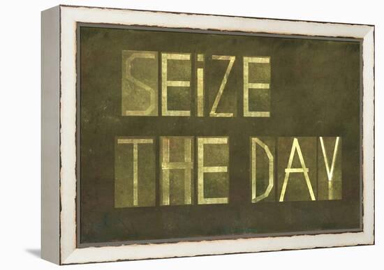 Earthy Background And Design Element Depicting The Words "Seize The Day"-nagib-Framed Stretched Canvas