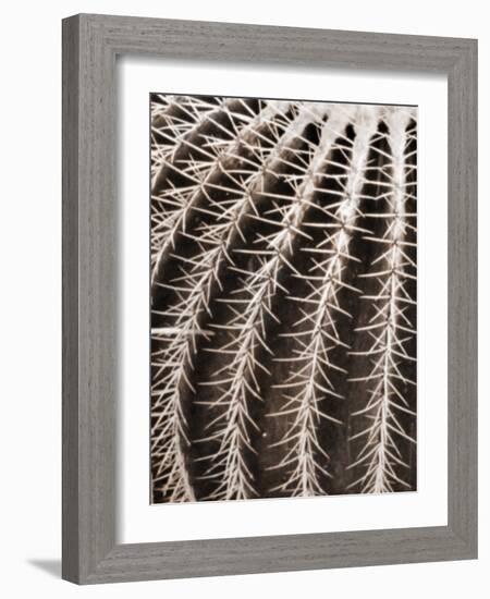 Earthy Cactus 2-Marcus Prime-Framed Art Print