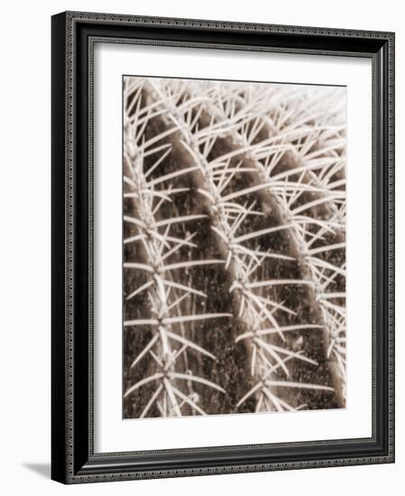 Earthy Cactus 3-Marcus Prime-Framed Art Print