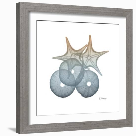 Earthy Hues Sea Urchin and Starfish-Albert Koetsier-Framed Art Print