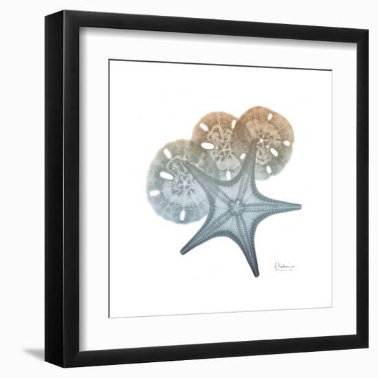 Earthy Hues Starfish and Sand Dollar-Albert Koetsier-Framed Art Print