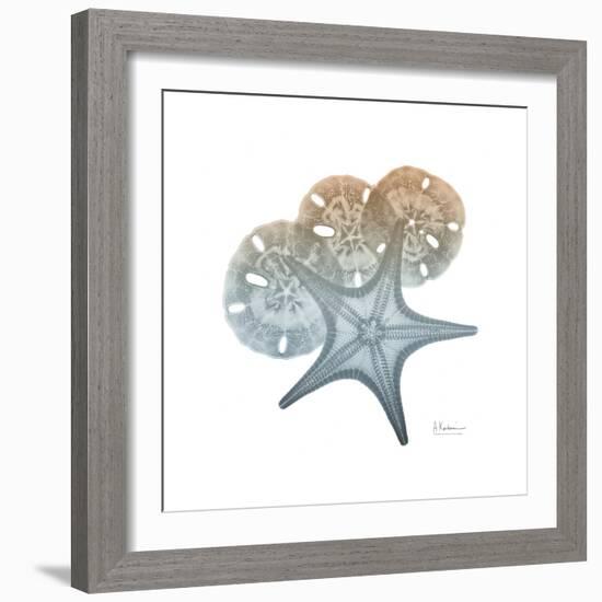 Earthy Hues Starfish and Sand Dollar-Albert Koetsier-Framed Art Print