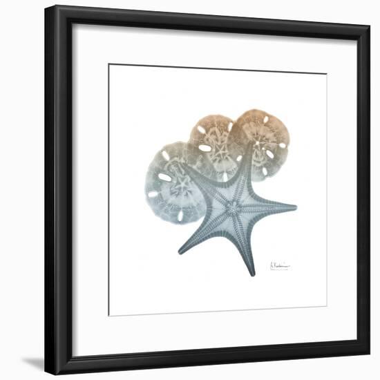 Earthy Hues Starfish and Sand Dollar-Albert Koetsier-Framed Art Print