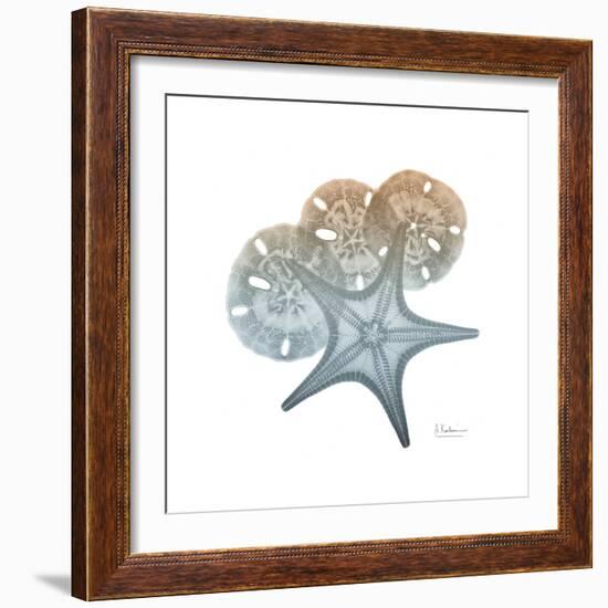 Earthy Hues Starfish and Sand Dollar-Albert Koetsier-Framed Art Print