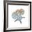 Earthy Hues Starfish and Sand Dollar-Albert Koetsier-Framed Art Print