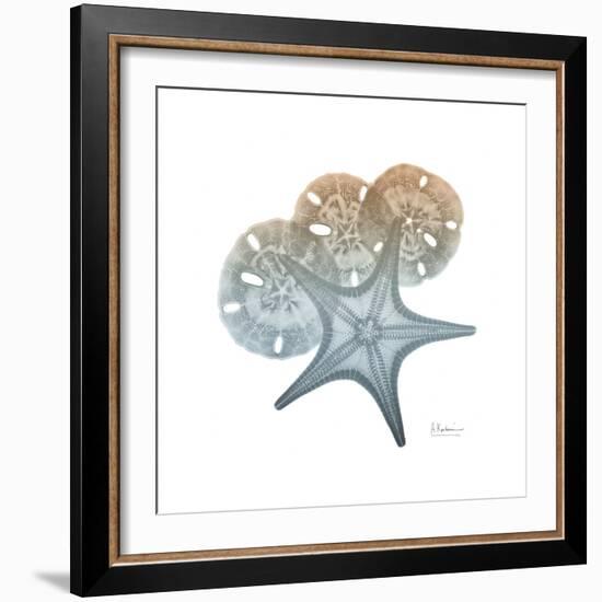 Earthy Hues Starfish and Sand Dollar-Albert Koetsier-Framed Art Print