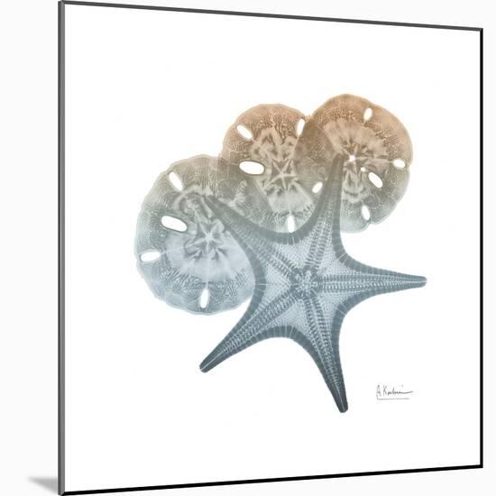 Earthy Hues Starfish and Sand Dollar-Albert Koetsier-Mounted Art Print