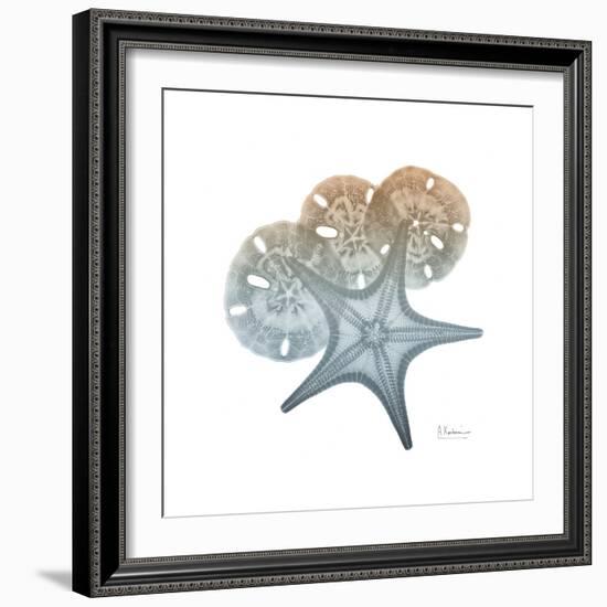 Earthy Hues Starfish and Sand Dollar-Albert Koetsier-Framed Art Print