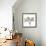 Earthy Orchid-Albert Koetsier-Framed Premium Giclee Print displayed on a wall