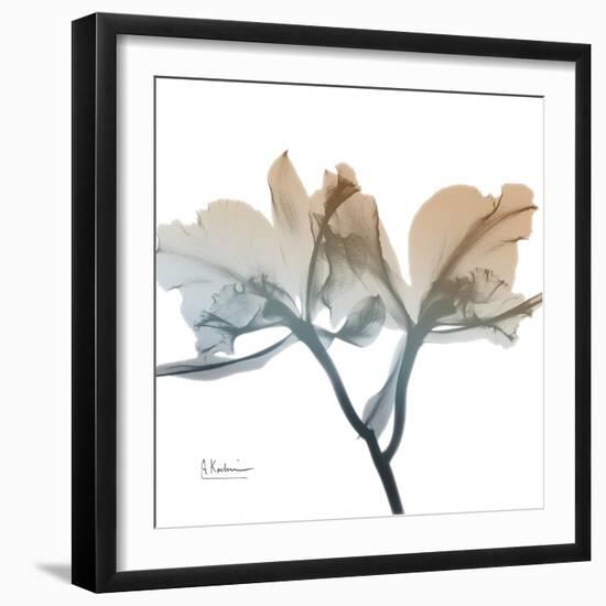 Earthy Orchid-Albert Koetsier-Framed Premium Giclee Print