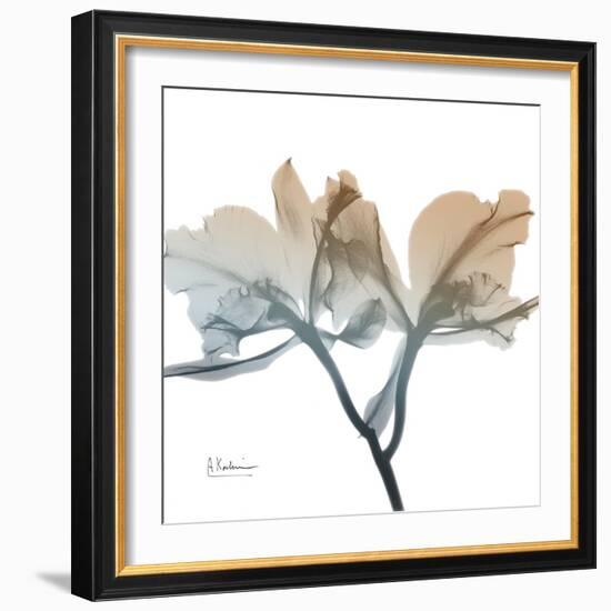 Earthy Orchid-Albert Koetsier-Framed Premium Giclee Print