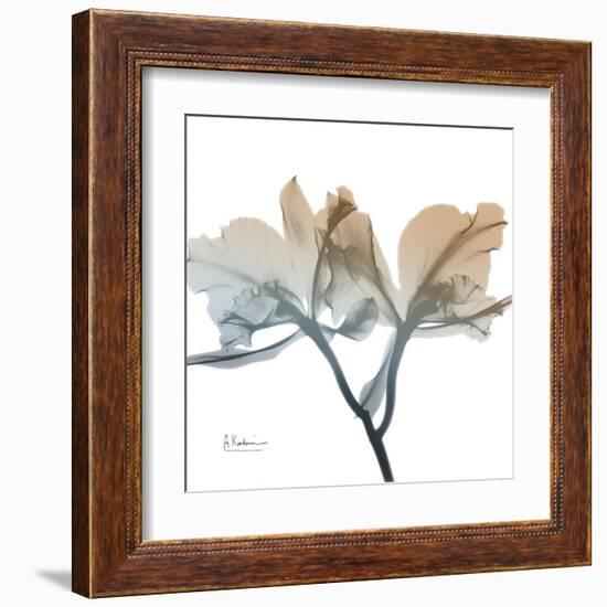 Earthy Orchid-Albert Koetsier-Framed Art Print