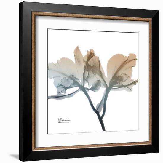 Earthy Orchid-Albert Koetsier-Framed Art Print