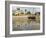 East Africa, Tanzania, Zanzibar, A Boat Moored on the Sands of Bagamoyo-Paul Harris-Framed Photographic Print