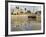 East Africa, Tanzania, Zanzibar, A Boat Moored on the Sands of Bagamoyo-Paul Harris-Framed Photographic Print