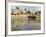 East Africa, Tanzania, Zanzibar, A Boat Moored on the Sands of Bagamoyo-Paul Harris-Framed Photographic Print