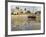 East Africa, Tanzania, Zanzibar, A Boat Moored on the Sands of Bagamoyo-Paul Harris-Framed Photographic Print