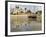 East Africa, Tanzania, Zanzibar, A Boat Moored on the Sands of Bagamoyo-Paul Harris-Framed Photographic Print