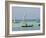 East Africa, Tanzania, Zanzibar, A Traditional Dhow, India, and East Africa-Paul Harris-Framed Photographic Print