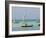 East Africa, Tanzania, Zanzibar, A Traditional Dhow, India, and East Africa-Paul Harris-Framed Photographic Print