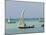 East Africa, Tanzania, Zanzibar, A Traditional Dhow, India, and East Africa-Paul Harris-Mounted Photographic Print