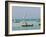 East Africa, Tanzania, Zanzibar, A Traditional Dhow, India, and East Africa-Paul Harris-Framed Photographic Print