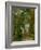 East Bergholt Church-John Constable-Framed Giclee Print