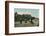 East Cliff, Bournemouth, c1905-Unknown-Framed Photographic Print