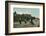 East Cliff, Bournemouth, c1905-Unknown-Framed Photographic Print