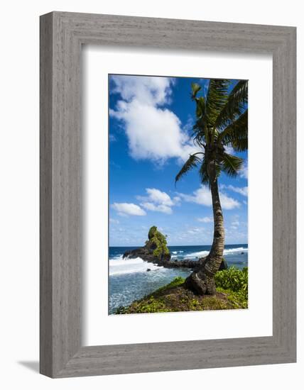 East Coast of Tutuila Island, American Samoa, South Pacific-Michael Runkel-Framed Photographic Print