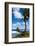 East Coast of Tutuila Island, American Samoa, South Pacific-Michael Runkel-Framed Photographic Print