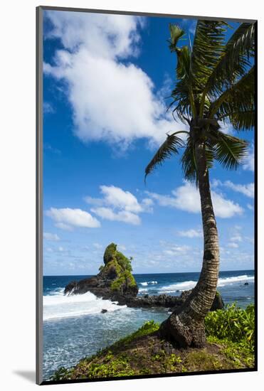 East Coast of Tutuila Island, American Samoa, South Pacific-Michael Runkel-Mounted Photographic Print