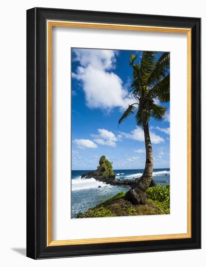 East Coast of Tutuila Island, American Samoa, South Pacific-Michael Runkel-Framed Photographic Print