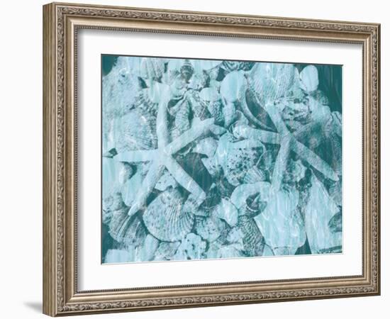 East Coast Shells I-Jairo Rodriguez-Framed Art Print