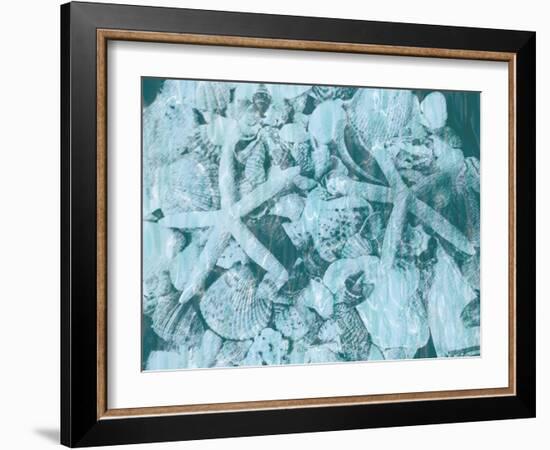 East Coast Shells I-Jairo Rodriguez-Framed Art Print