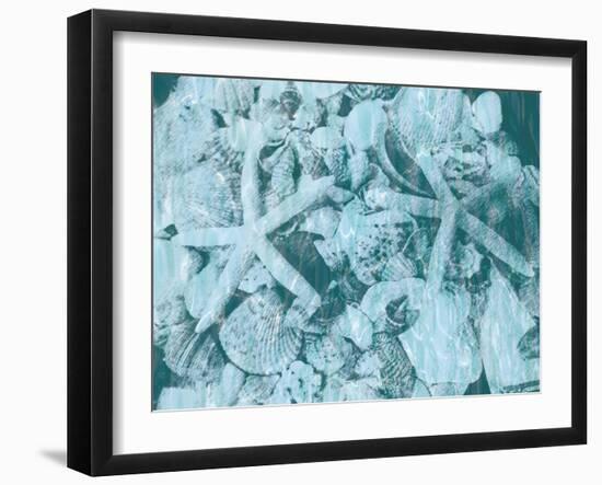 East Coast Shells I-Jairo Rodriguez-Framed Art Print