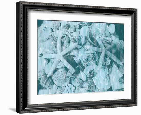 East Coast Shells I-Jairo Rodriguez-Framed Art Print