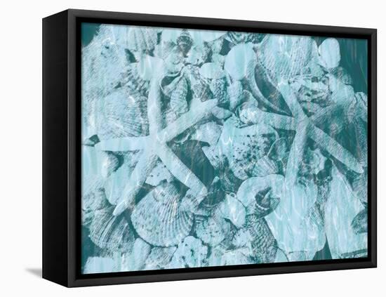 East Coast Shells I-Jairo Rodriguez-Framed Stretched Canvas