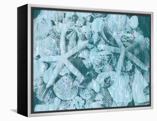 East Coast Shells I-Jairo Rodriguez-Framed Stretched Canvas