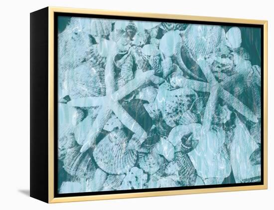 East Coast Shells I-Jairo Rodriguez-Framed Stretched Canvas