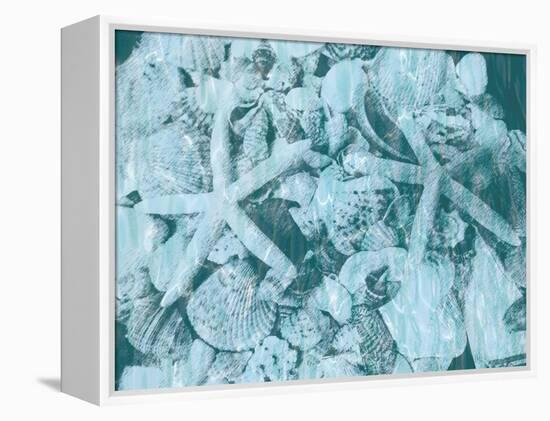 East Coast Shells I-Jairo Rodriguez-Framed Stretched Canvas