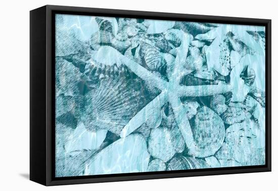 East Coast Shells II-Jairo Rodriguez-Framed Stretched Canvas