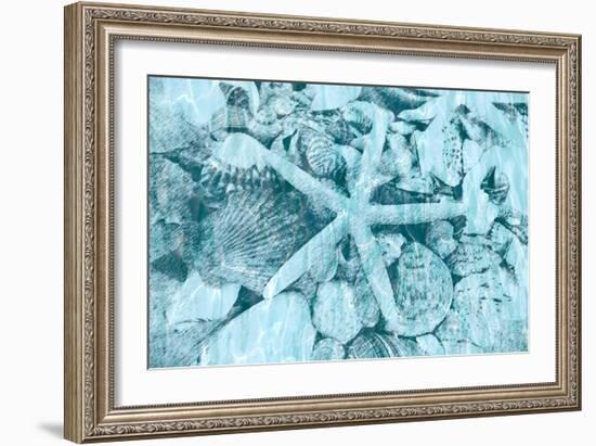 East Coast Shells II-Jairo Rodriguez-Framed Art Print